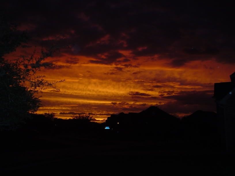 DSC00215.jpg
