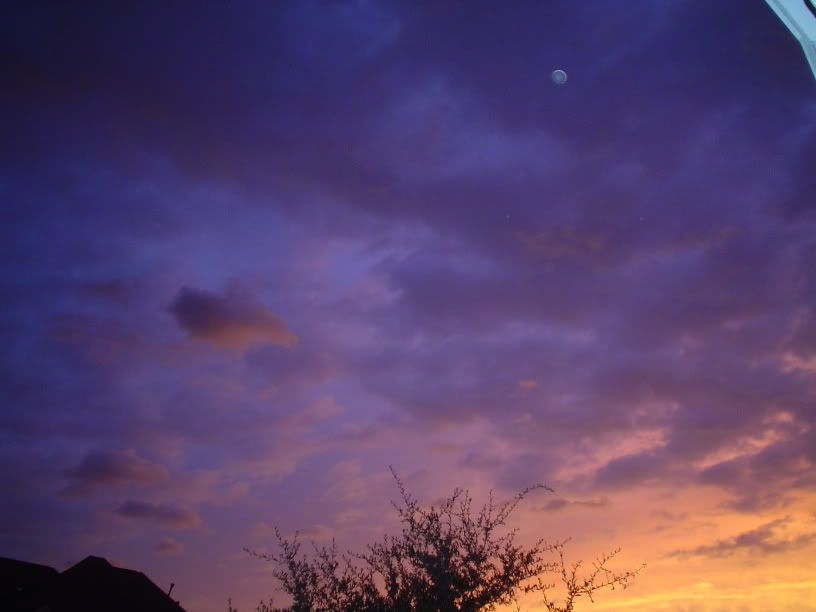 DSC00216.jpg