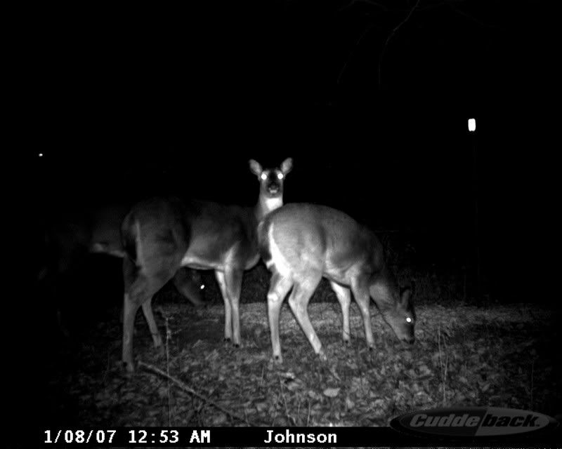 Cuddeback4018.jpg