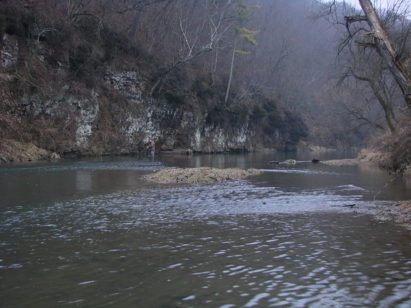 Troutn12-30-06022.jpg