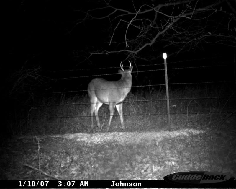 cuddeback4136.jpg