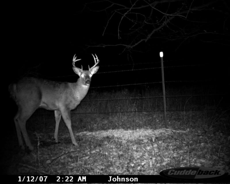 cuddeback4343.jpg