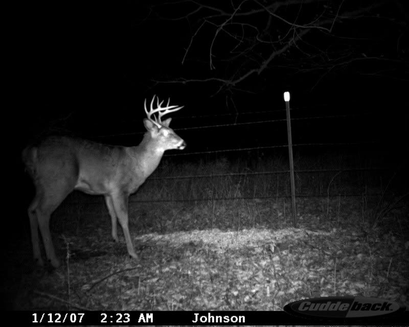 cuddeback4345.jpg