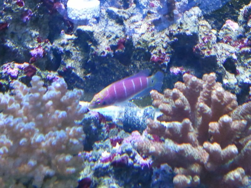2012-04-08211336.jpg