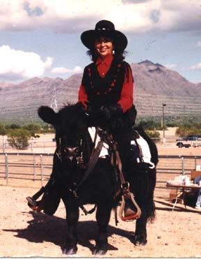 newbie to Dexter breed - Cattle