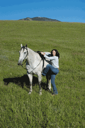 riding your cow - Cattle