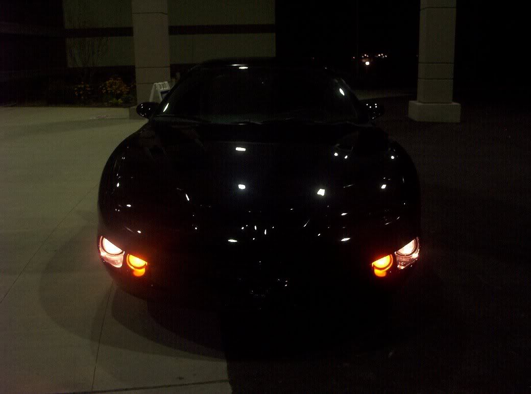 100_3353resize.jpg