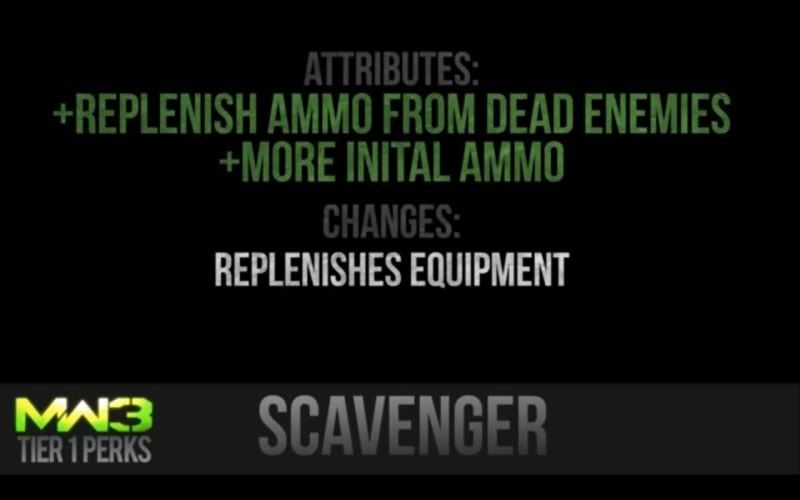 scav.jpg