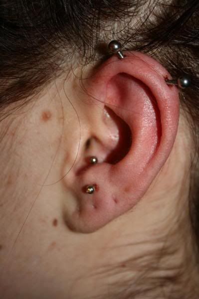 ANTI TRAGUS RINGS Bled quite a year ago by barbell, captive bead ring Used barbell can snap the both 