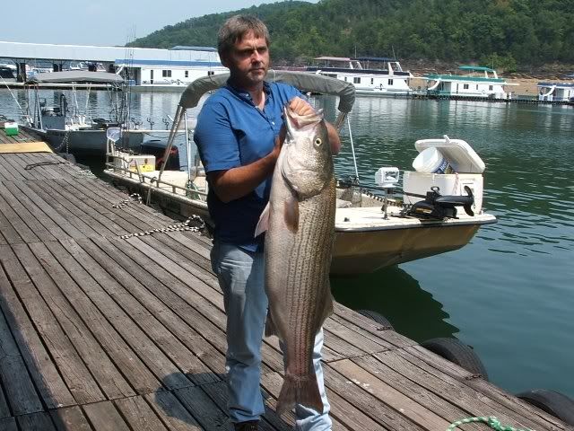 Thanks for everyone contributing to walleye on lake