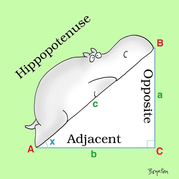 hippotenuse.jpg