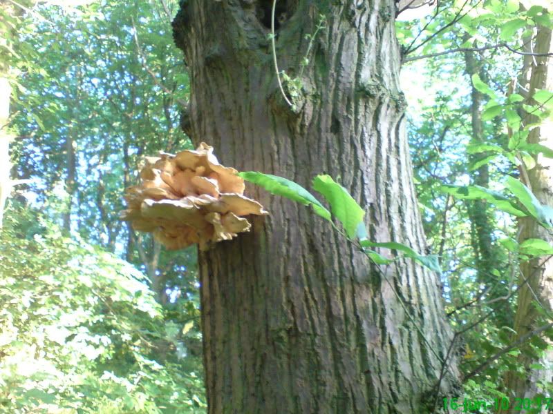 16Jun201010.jpg