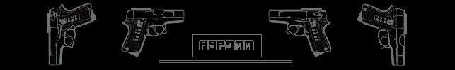 Asp9mmSIG-1-2.jpg