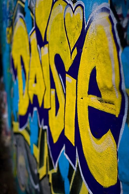 IMAGE: http://i9.photobucket.com/albums/a78/Hellbelly01/Urban01-1.jpg