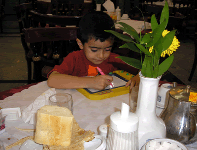 به جاي خوردن من نقاشي مي كردم