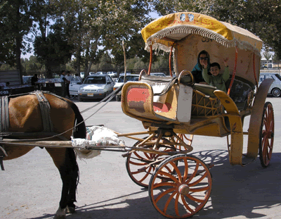 درشكه سواري با ماآني