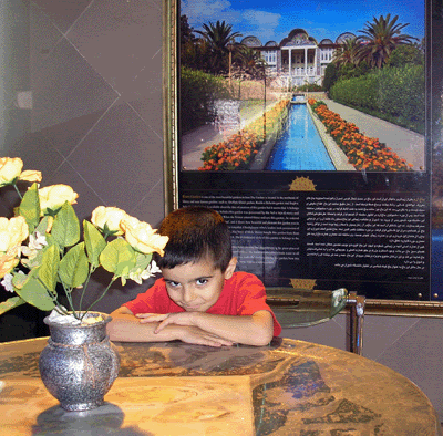 در ترمینال شیراز