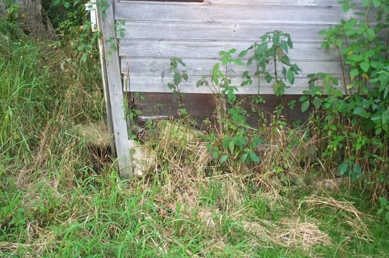 Need suggestions on saving a leaning building - Homesteading Questions