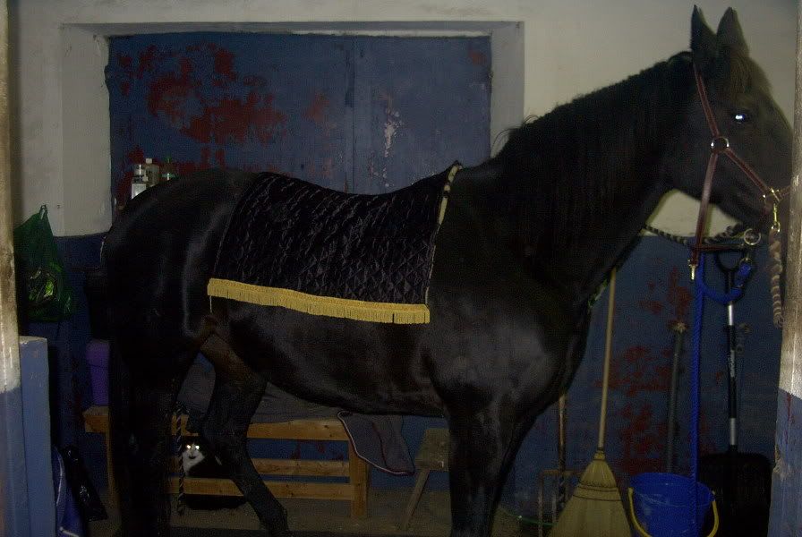 digitalkamera026.jpg