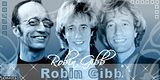 Robin2.bmp image by PixelDreamdesigns