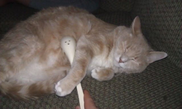 IMAG0066.jpg