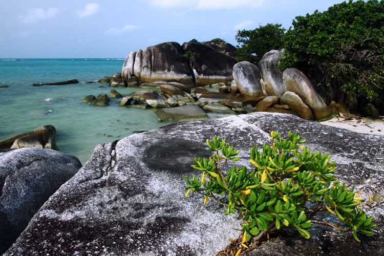 IMG_0210_Pantai1.jpg
