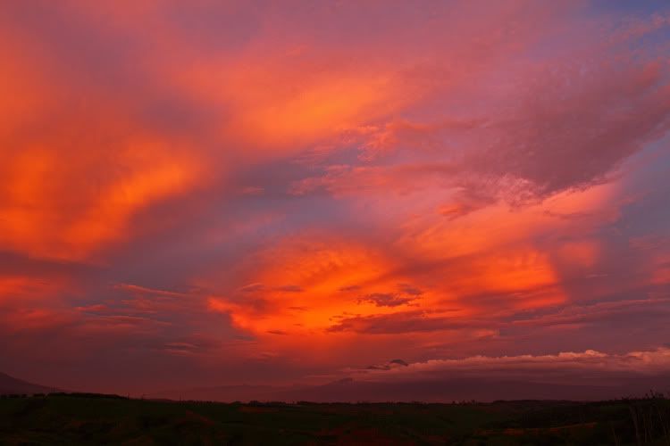 Sunset-HLM-1.jpg