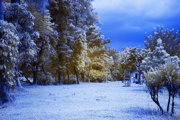 Taman-IR-2nd.jpg