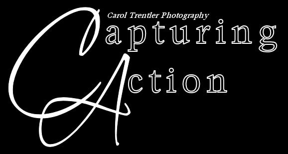 IMAGE: http://i9.photobucket.com/albums/a81/mysiggysnstuff/capturingactionlogo-1-1.jpg