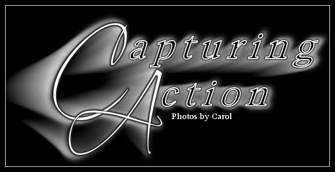 IMAGE: http://i9.photobucket.com/albums/a81/mysiggysnstuff/capturingactionlogo2.jpg