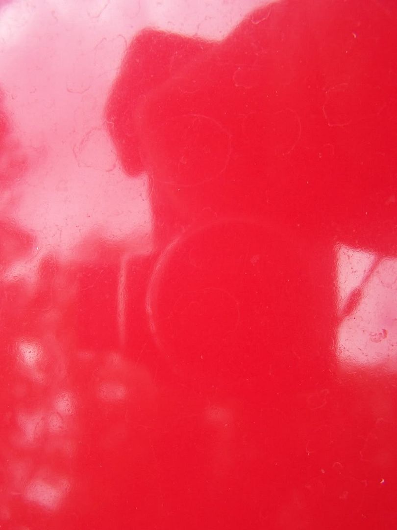 100_0006.jpg