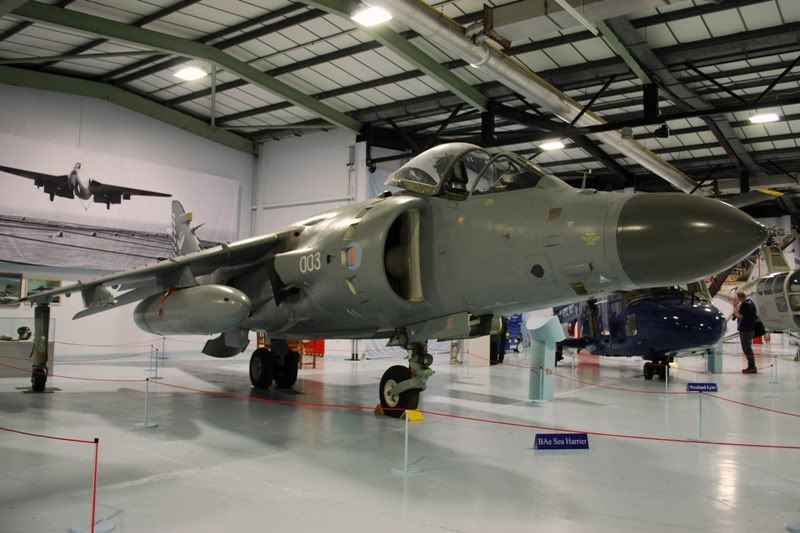 http://i9.photobucket.com/albums/a82/pagen/FAAM/SeaHarrierFA2-1.jpg