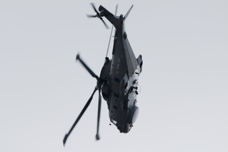http://i9.photobucket.com/albums/a82/pagen/Yeovilton%2010/Merlin.jpg