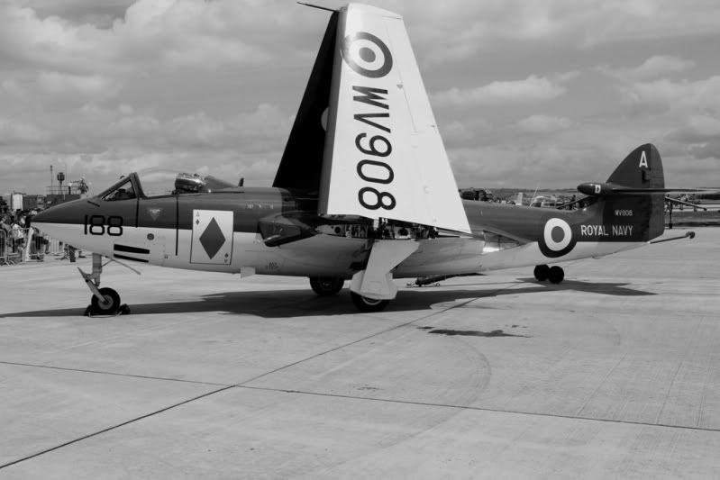 http://i9.photobucket.com/albums/a82/pagen/Yeovilton%2010/SeaHawk8.jpg