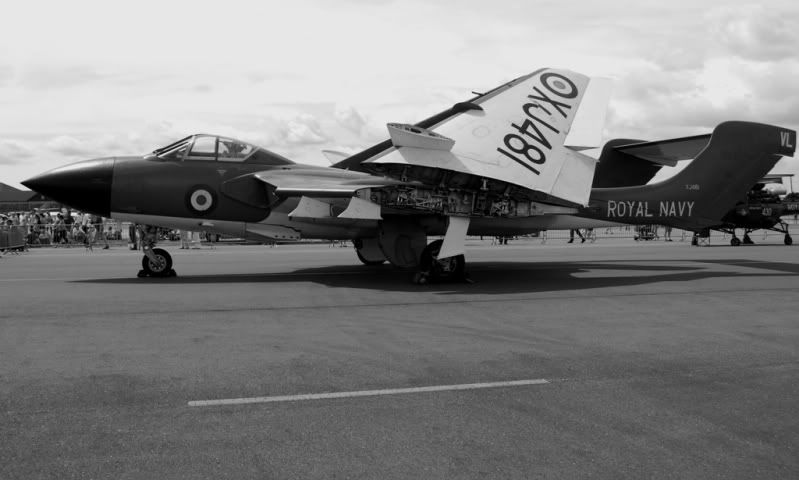 http://i9.photobucket.com/albums/a82/pagen/Yeovilton%2010/SeaVixen10.jpg