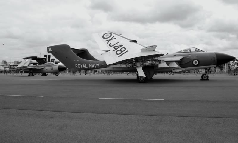 http://i9.photobucket.com/albums/a82/pagen/Yeovilton%2010/SeaVixen7.jpg