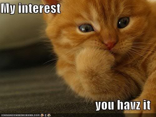 funny-pictures-my-interest-cat.jpg