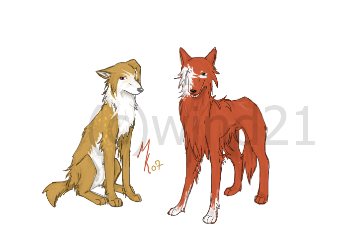 D. Gray-man dogs cloud nine cross