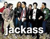 jackass.jpg image by RoseButton