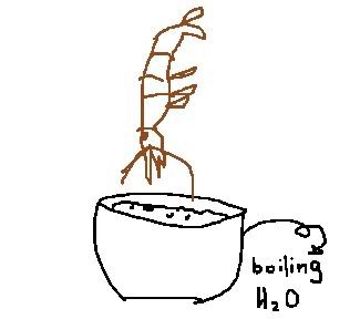 Untitled-2.jpg