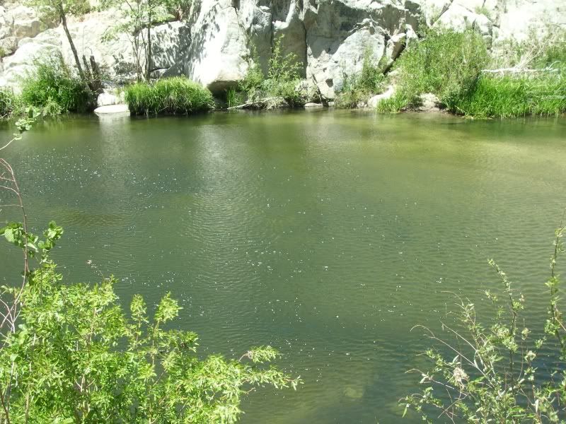 IMGP0071.jpg