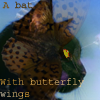 Midnight Butterfly Avatar