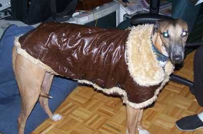 coat6.jpg