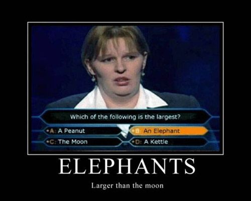 who wants to be a millionaire fail elephant. Kass isWe are fail.