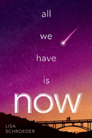 3 Reasons To Read… All We Have Is Now by Lisa Schroeder