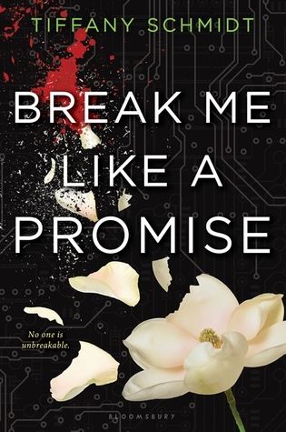 {Tour} BOLDLY BOOKISH: Break Me Like A Promise by Tiffany Schmidt (Character Interview + a Giveaway)