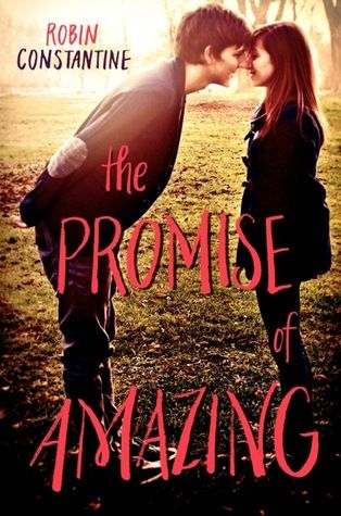 {Review} The Promise of Amazing by Robin Constantine