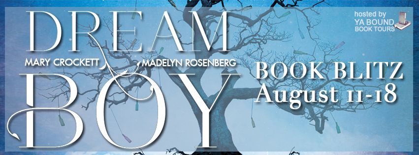 Dream Boy by Mary Crockett and Madelyn Rosenberg Tour