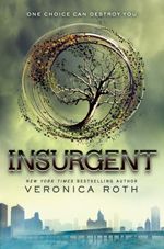 TeamAmity Insurgent