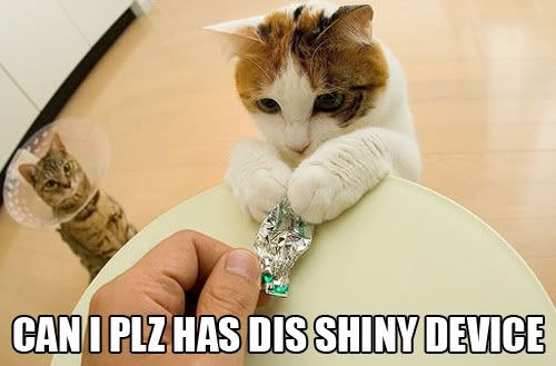 LOLCAT being distracted by something shiny - http://s9.photobucket.com/user/Pritchard71/profile/